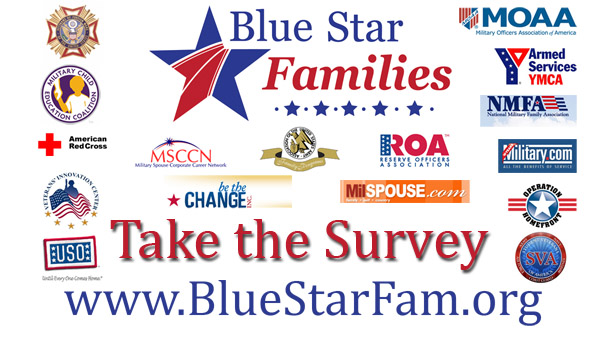 Military Family Lifestyle Survey