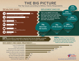 Blue Star Families 2012 Military Family Lifestyle Survey Summary Graphic